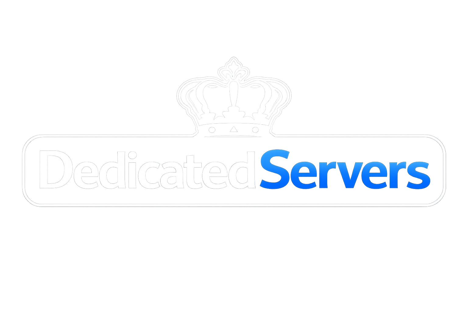DS logo 1