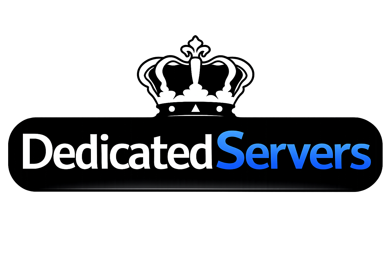 ds logo 4
